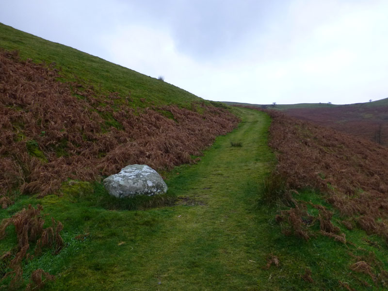 Low Fell Boulder